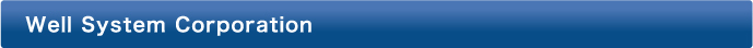 Well System Corporation