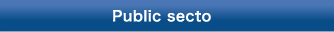 Public secto