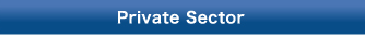 Private Sector